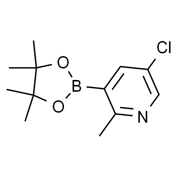 2-甲基-5-氯吡啶-3-硼酸频哪醇酯