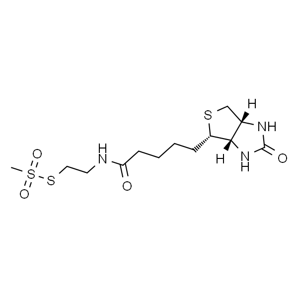 N-Biotinylaminoethyl Methanethiosulfonate