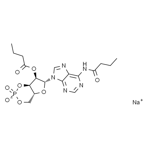 N6,2''-O-二丁酰基腺苷3'',5''-环磷酸 钠盐