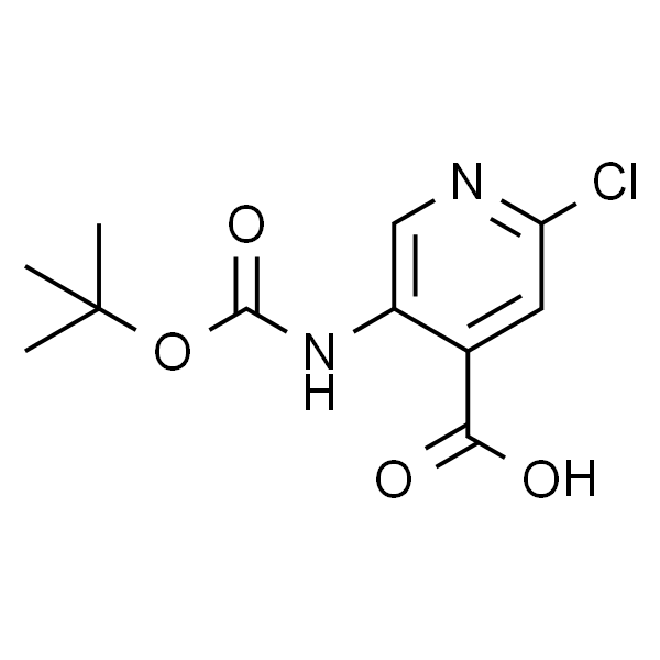 5-tert-Butoxycarbonylamino-2-chloro-isonicotinic acid