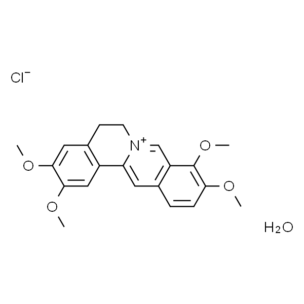 盐酸巴马汀
