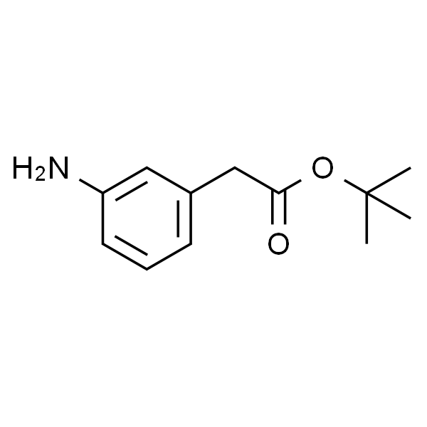 2-(3-氨基苯基)乙酸叔丁基盐