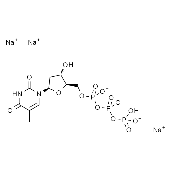 2''-脱氧胸苷-5''-三磷酸三钠，二水