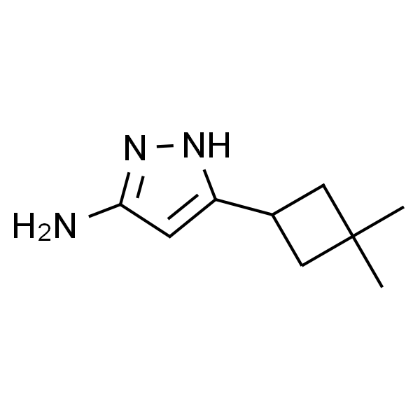 5-(3,3-二甲基环丁基)-1H-吡唑-3-胺