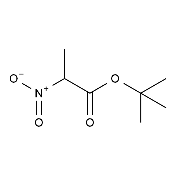 2-硝基丙酸叔丁酯