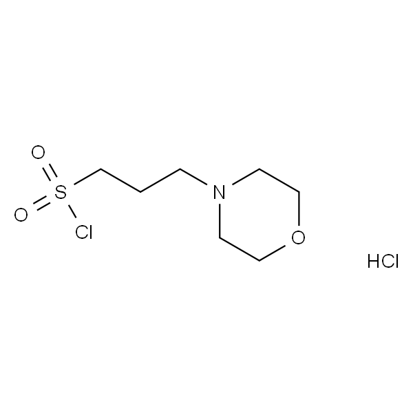 3-(吗啉-4-基)丙烷-1-磺酰氯盐酸盐