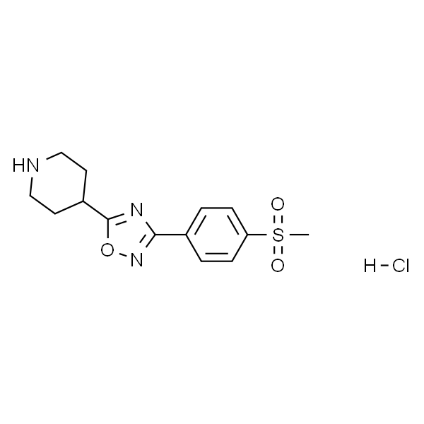 3-(4-(甲基磺酰基)苯基)-5-(哌啶-4-基)-1,2,4-恶二唑盐酸盐