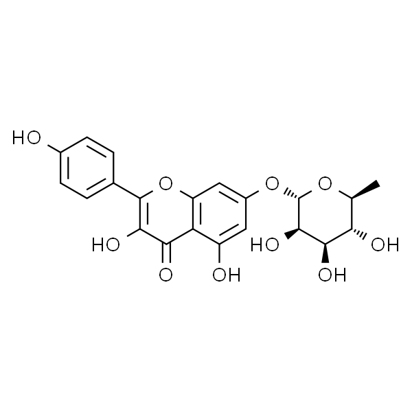 Kaempferol 7-O-rhamnoside