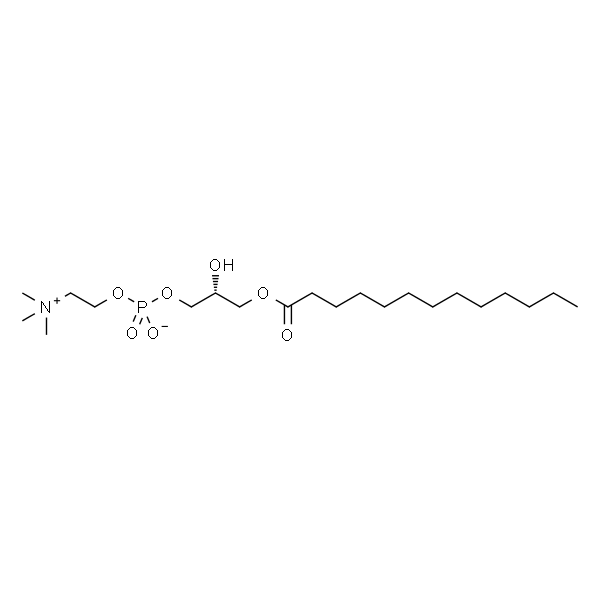 1-tridecanoyl-2-hydroxy-sn-glycero-3-phosphocholine