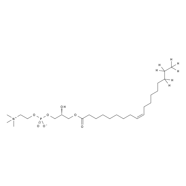 1-Oleoyl-d7-lyso-PC