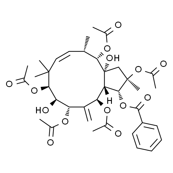 Jatrophane 6