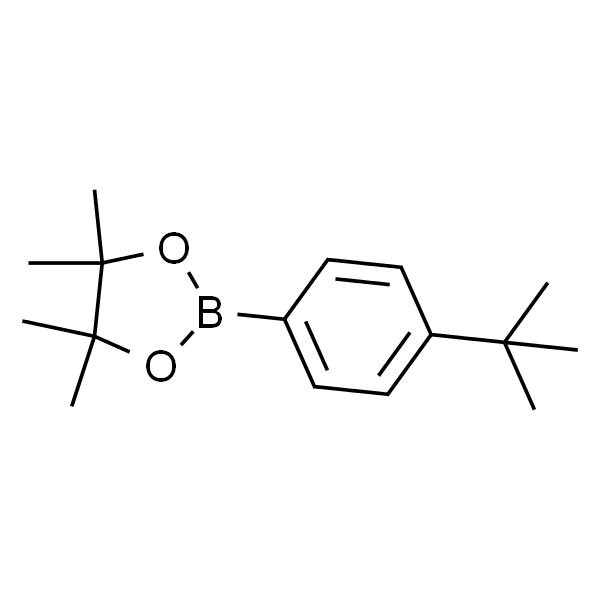 4-叔丁基苯硼酸频那醇酯