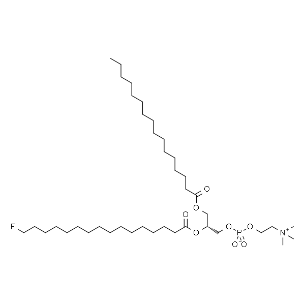 1-palmitoyl-2-(16-fluoropalmitoyl)-sn-glycero-3-phosphocholine