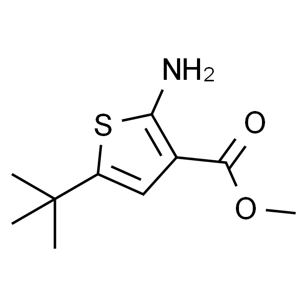 2-氨基-5-叔丁基噻吩-3-甲酸甲酯