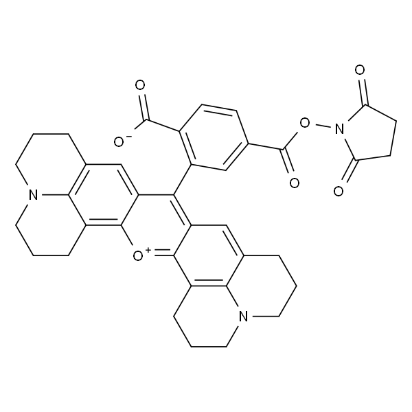 6-羧基-X-罗丹明琥珀酰亚胺酯