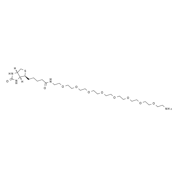 Biotin-PEG8-amine