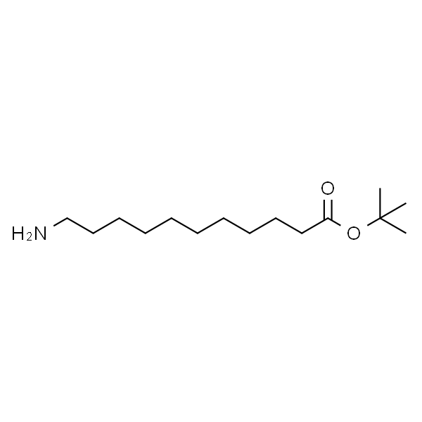 11-氨基十一酸叔丁酯