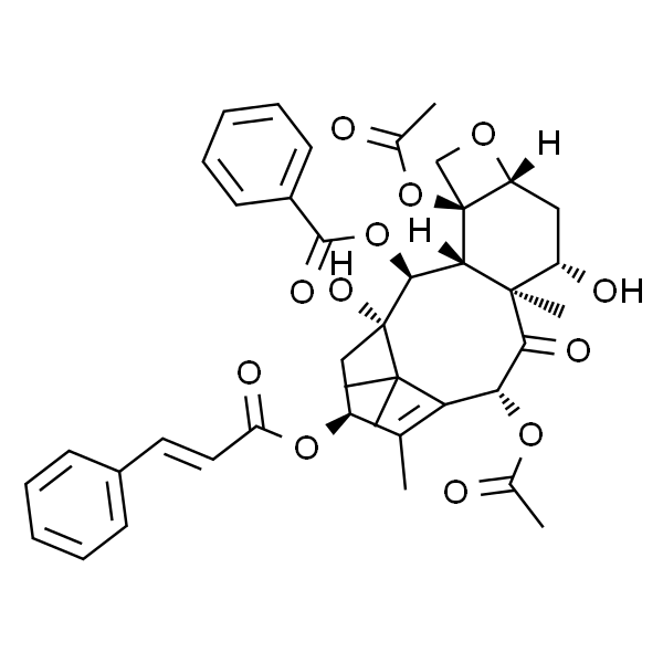13-O-Cinnamoylbaccatin III