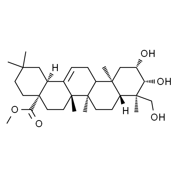 贝萼皂苷元甲酯