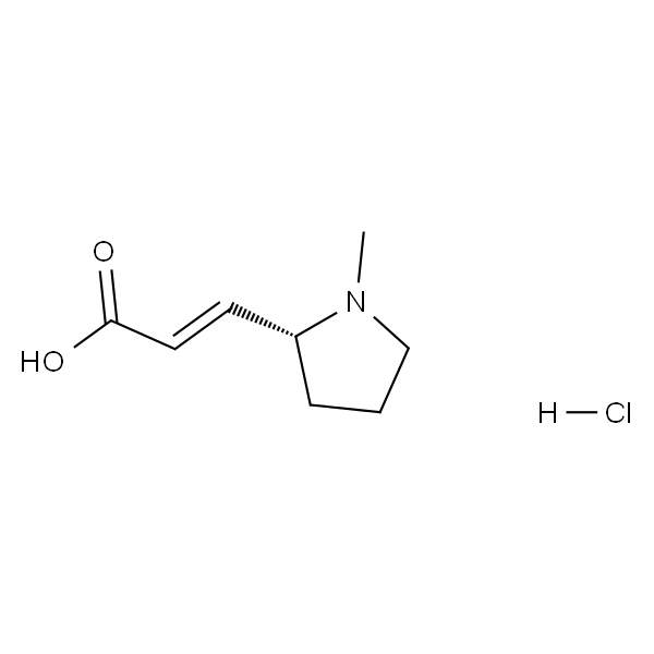 (R,E)-3-(1-甲基吡咯烷-2-基)丙烯酸盐酸盐