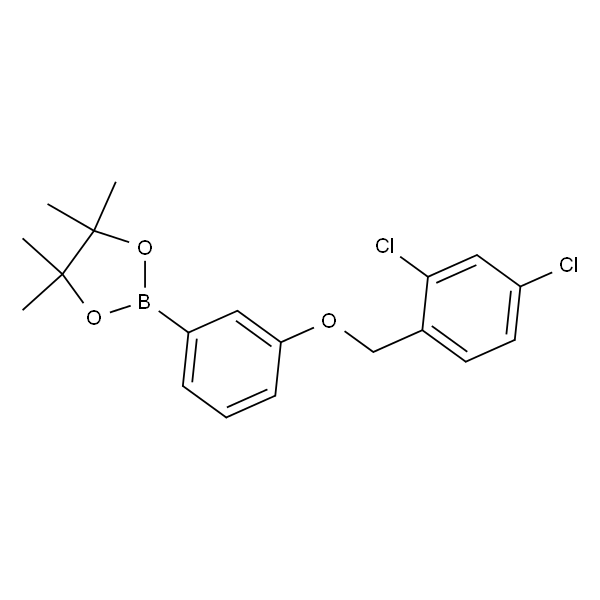 2-(3-((2,4-二氯苄基)氧基)苯基)-4,4,5,5-四甲基-1,3,2-二噁硼烷