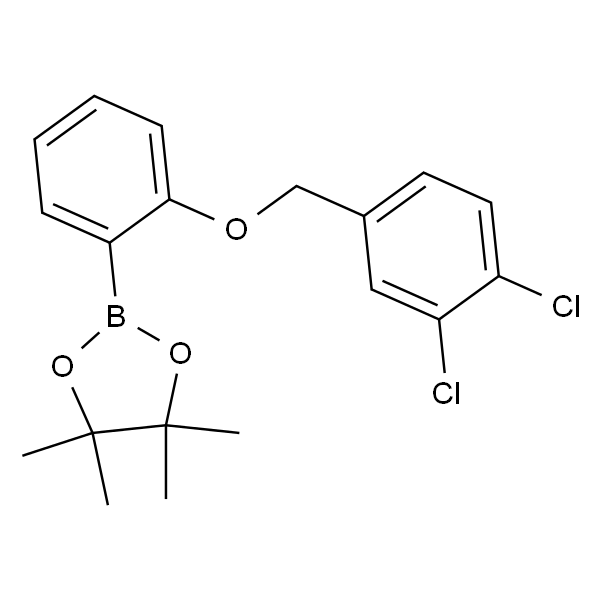 2-(2-((3,4-二氯苄基)氧基)苯基)-4,4,5,5-四甲基-1,3,2-二噁硼烷