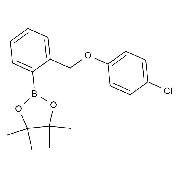2-(2-((4-氯苯氧基)甲基)苯基)-4,4,5,5-四甲基-1,3,2-二噁硼烷