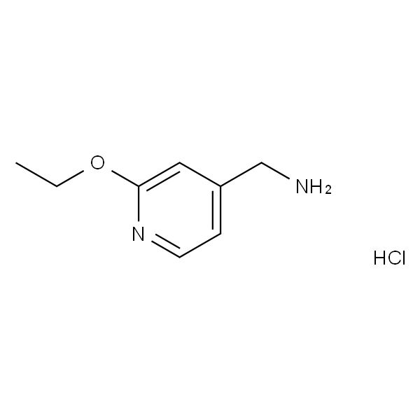 (2-乙氧基吡啶-4-基)甲酰胺盐酸盐