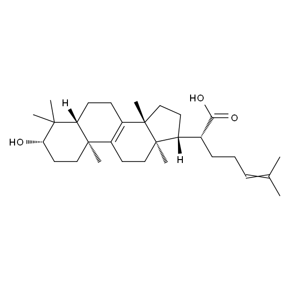 栓菌酸
