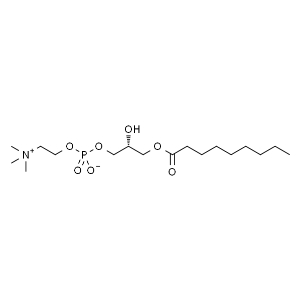 1-nonanoyl-2-hydroxy-sn-glycero-3-phosphocholine
