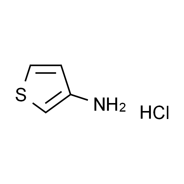 噻吩-3-胺氢氯化物