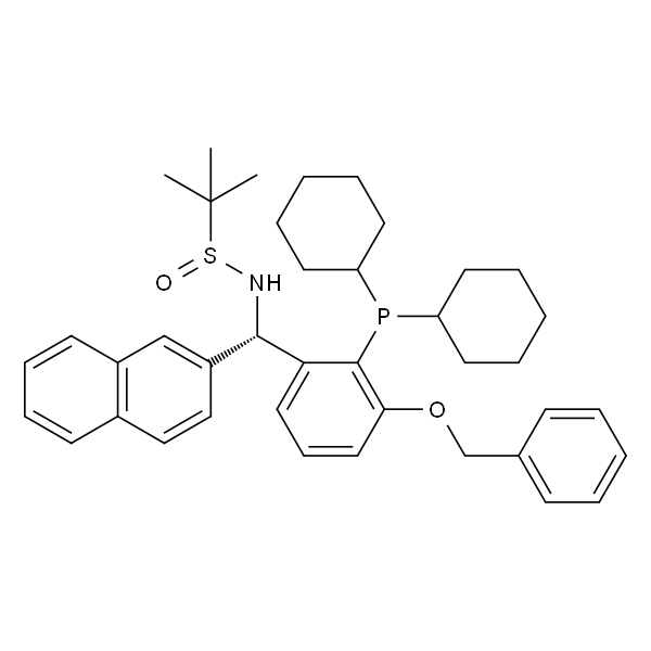[S(R)]-N-[(S)-[3-苄氧基-2-(二环己基膦)苯基]-(2-萘基)甲基]-2-叔丁基亚磺酰胺