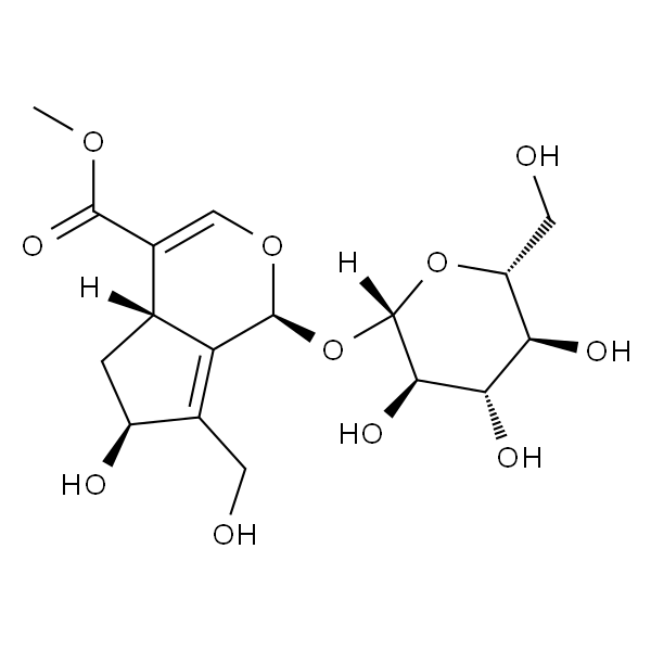 10-羟基大车前草苷