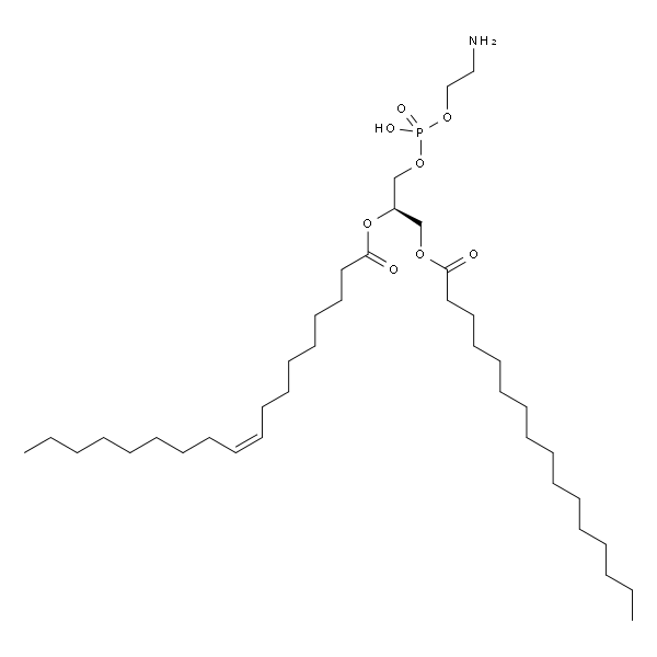1-Palmitoyl-2-Oleoyl-sn-Glycero-3-Phosphatidylethanolamine