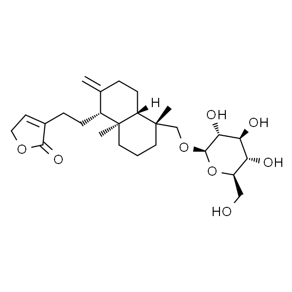 新穿心莲内酯