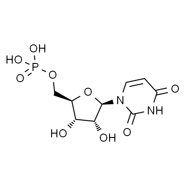 Polyuridylic acid potassium salt