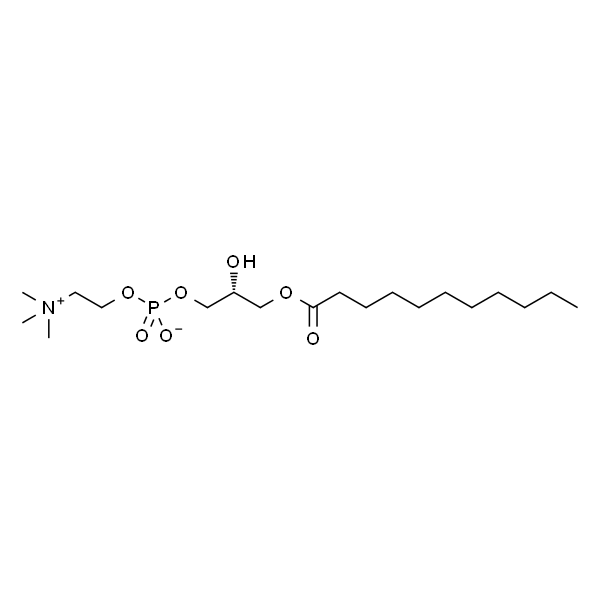 1-undecanoyl-2-hydroxy-sn-glycero-3-phosphocholine