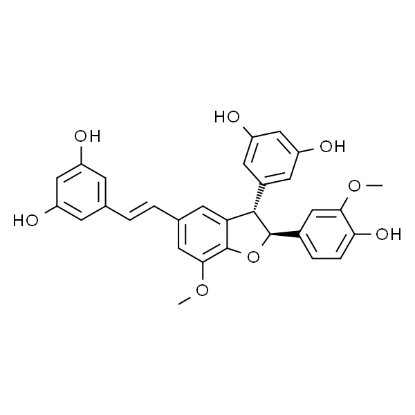 Shegansu B