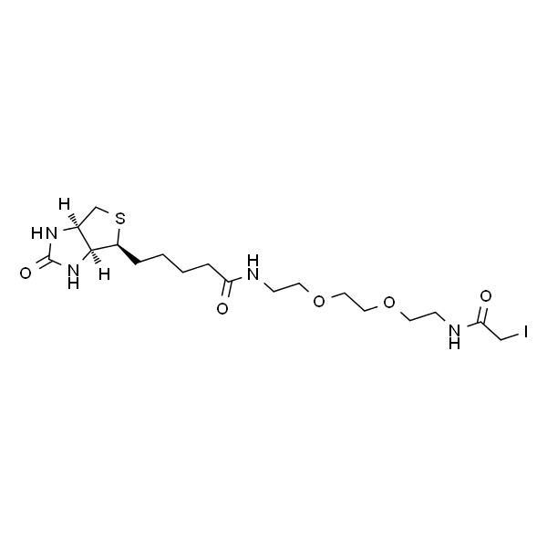Biotin-PEG2-C2-iodoacetamide