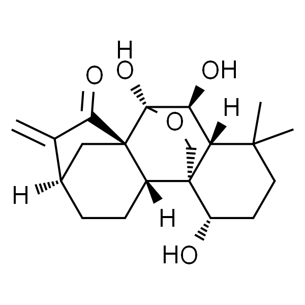 疏展香茶菜宁 A