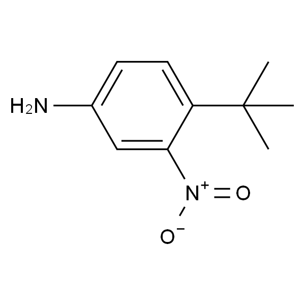 4-叔丁基-3-硝基苯胺
