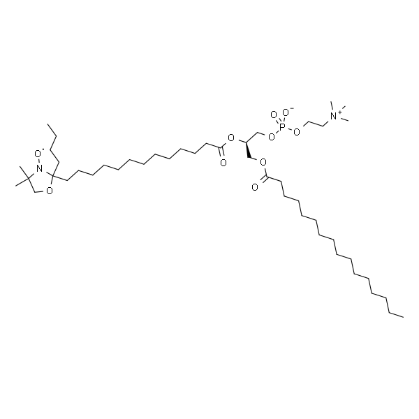 1-palmitoyl-2-stearoyl-(14-doxyl)-sn-glycero-3-phosphocholine