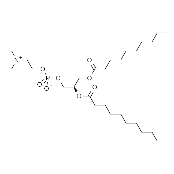 1,2-didecanoyl-sn-glycero-3-phosphocholine