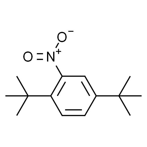 2,5-二叔丁基硝基苯