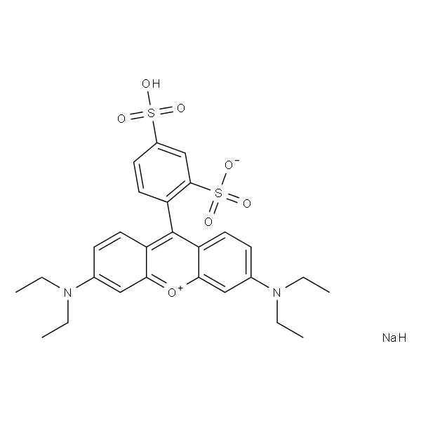 磺酰罗丹明B