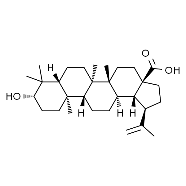 表白桦脂酸