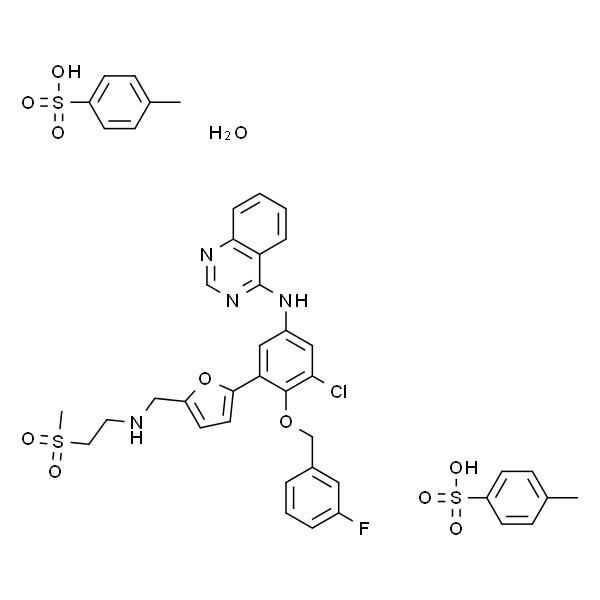 N-[3-氯-4-[(3-氟苯基)甲氧基]苯基]-6-[5-[(2-甲磺酰乙基氨基)甲基]-2-呋喃基]喹唑啉-4-胺二对甲苯磺酸盐水合物