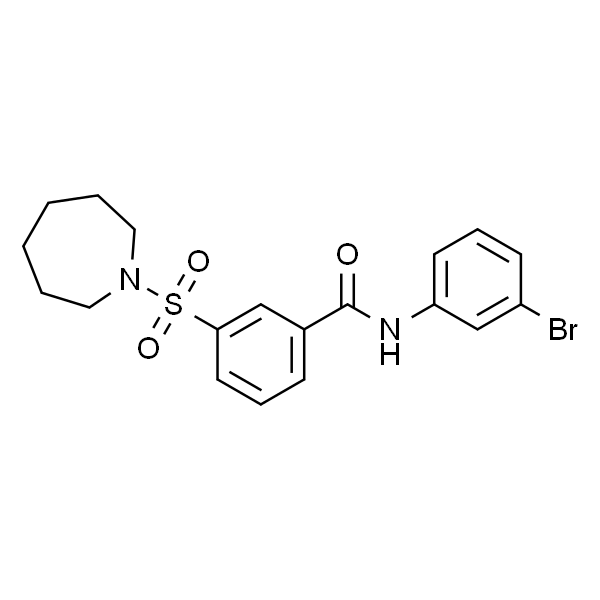 3-(氮杂环庚烷-1-基磺酰基)-N-(3-溴苯基)苯甲酰胺