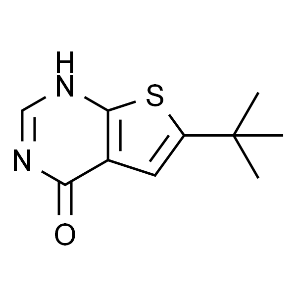 6-叔丁基-3H-噻吩[2,3-D]嘧啶-4-酮
