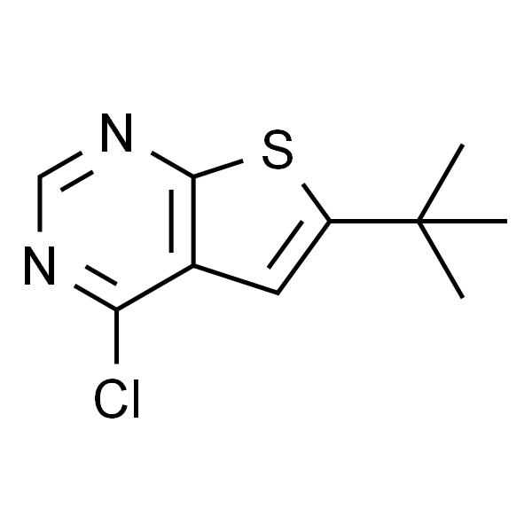 6-叔丁基-4-氯-噻吩[2,3-D]嘧啶